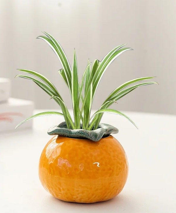 Vase de Table Hydroponique en Céramique Orange – Pot à Succulentes et Fleurs Élégant pour Décoration Intérieure Moderne