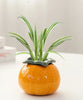 Vase de Table Hydroponique en Céramique Orange – Pot à Succulentes et Fleurs Élégant pour Décoration Intérieure Moderne
