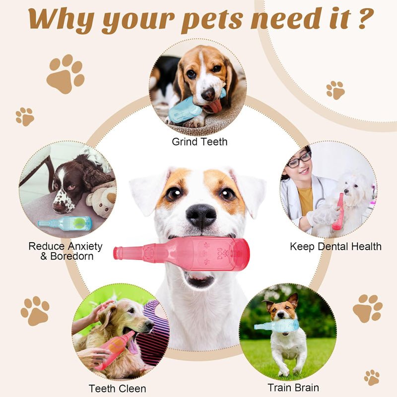 Bouteille à Mâcher pour Chiens – Pour des moments de mastication agréables