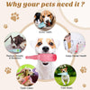 Bouteille à Mâcher pour Chiens – Pour des moments de mastication agréables