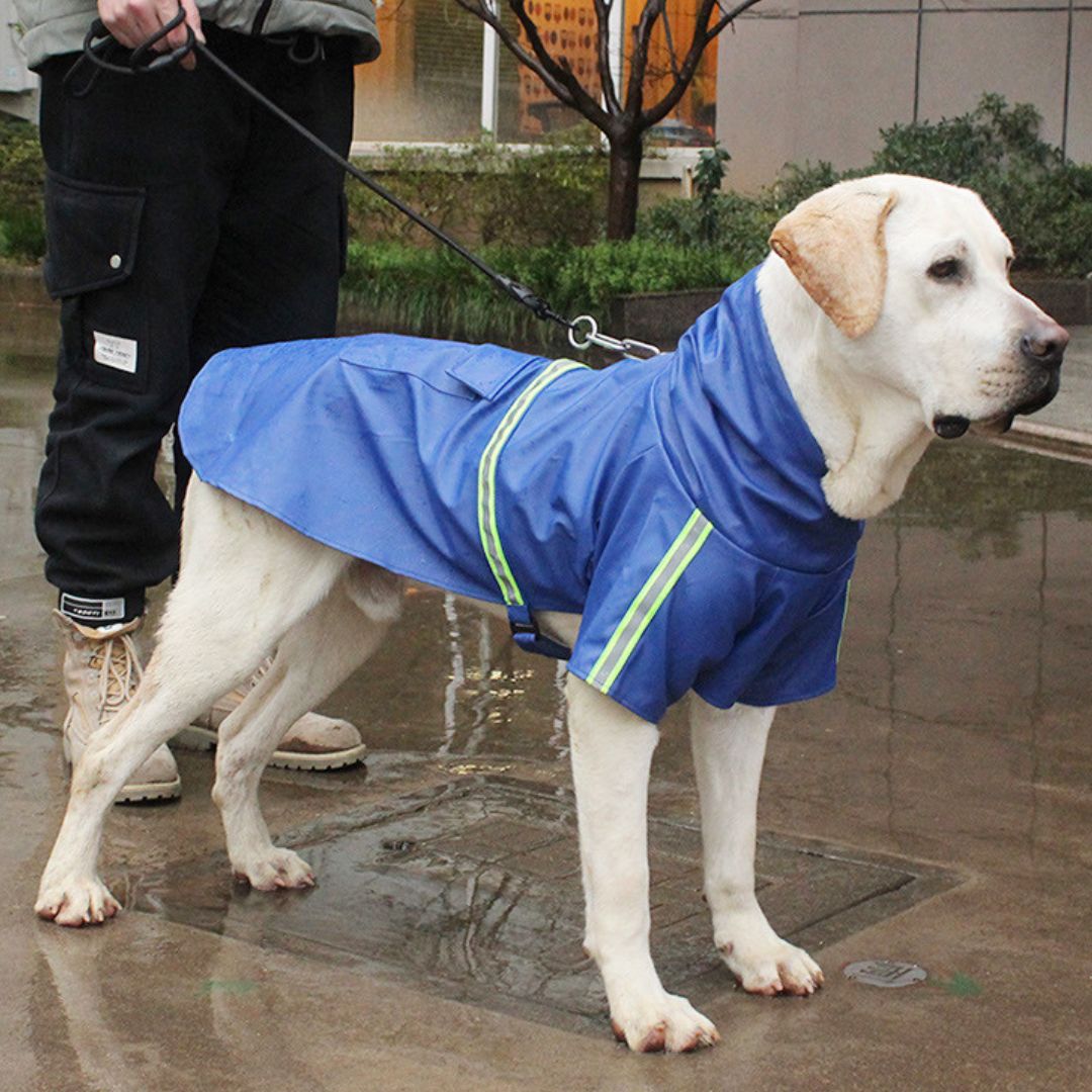 Veste de Chien Imperméable | Confortable et Durable