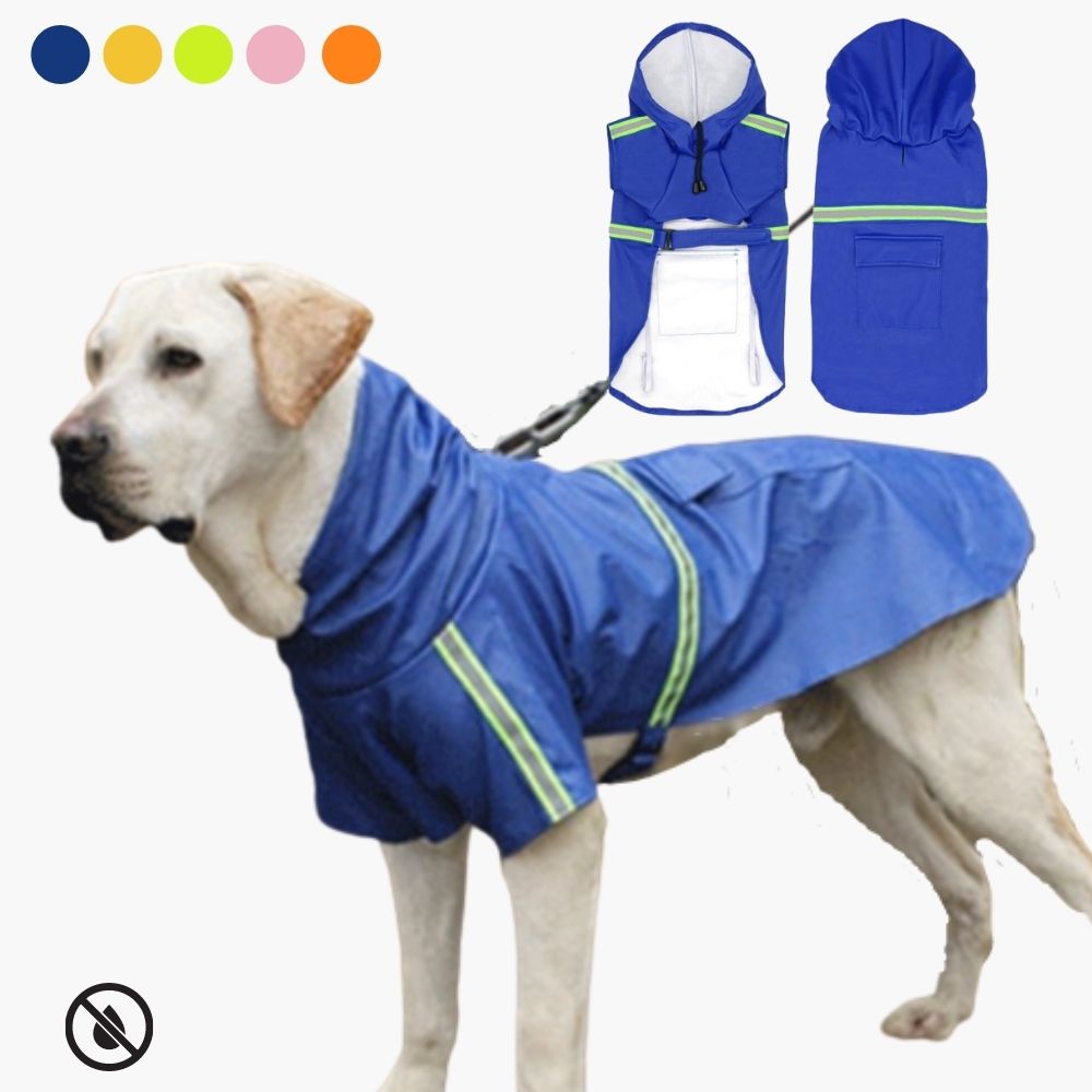 Veste de Chien Imperméable | Confortable et Durable