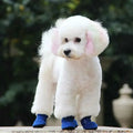 CozyPaws •  Bottes Étanches pour Chiens