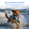 Traceur Intelligent pour Animaux de Compagnie – Localisateur GPS Étanche avec Lumière et Son pour Chiens et Chats