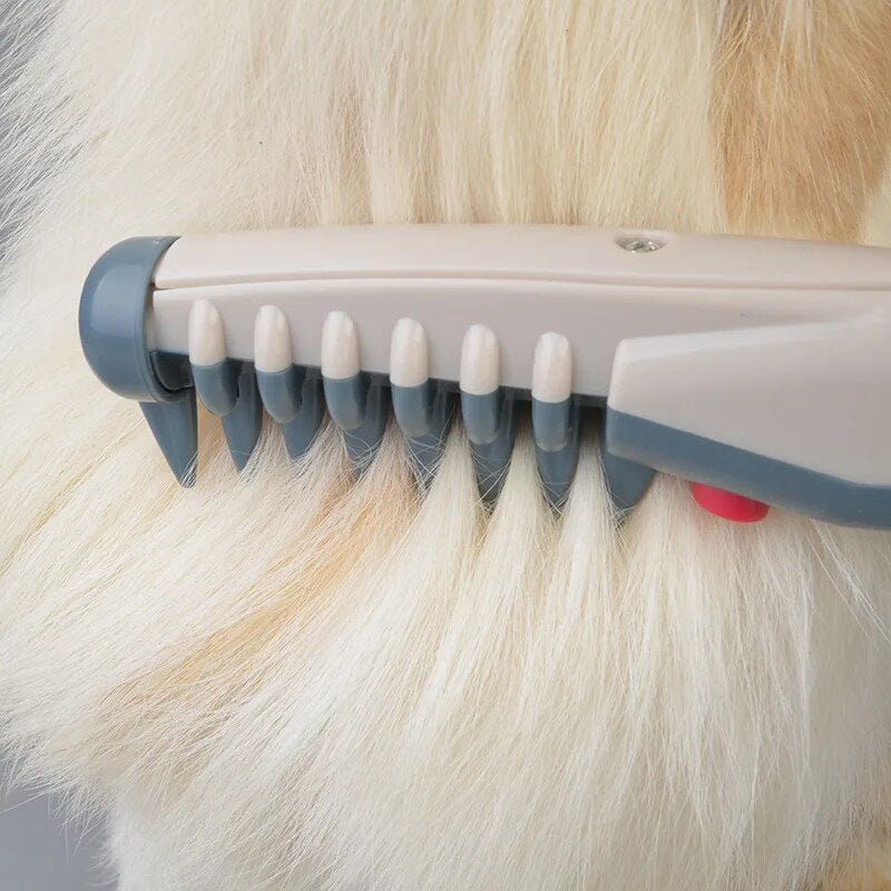Tondeuse Électrique pour Chiens & Chats - RexTrim