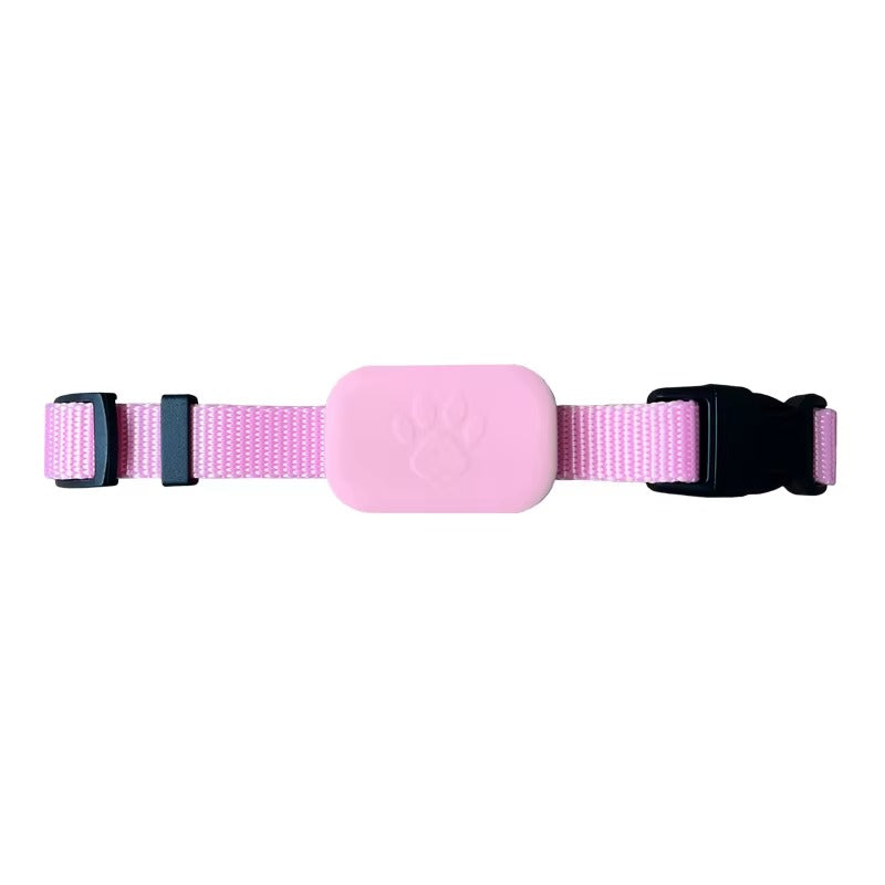 Traceur GPS pour Animaux de Compagnie - Collier Fiable