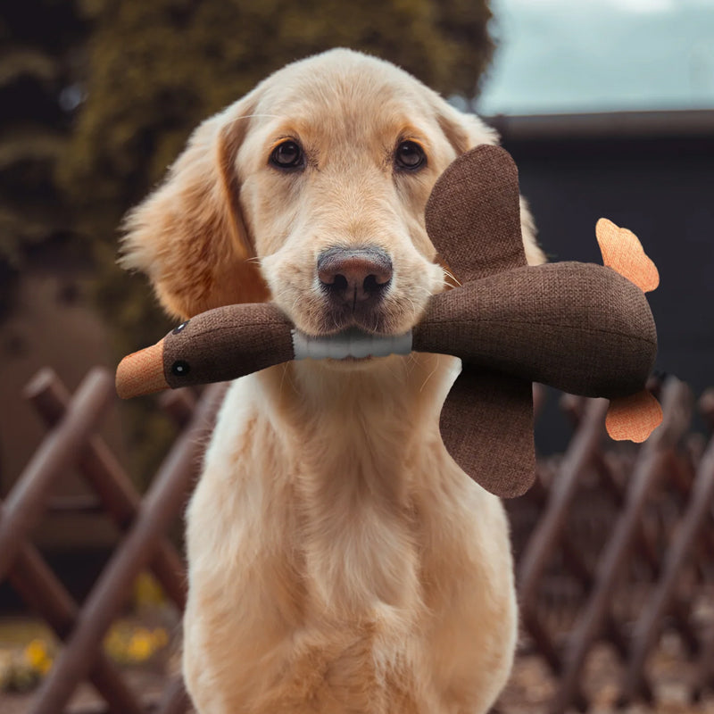 SolidPet Jouet pour Chiens | Durable & Sûr | Pour Tous les Chiens