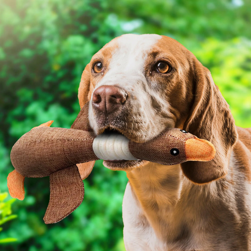 SolidPet Jouet pour Chiens | Durable & Sûr | Pour Tous les Chiens
