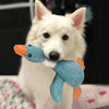 SolidPet Jouet pour Chiens | Durable & Sûr | Pour Tous les Chiens