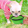 Bol de Nourriture Pliable – Durable et Compact pour Chiens et Chats