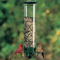Distributeur Automatique de Nourriture pour Oiseaux Résistant aux Écureuils