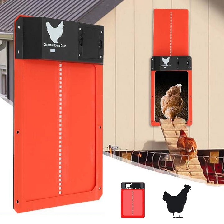 Système de porte automatique pour poulailler - SafeCoop