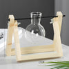 Vases hydroponiques pour terrarium | Vase en verre avec cadre en bois pour la culture hydroponique