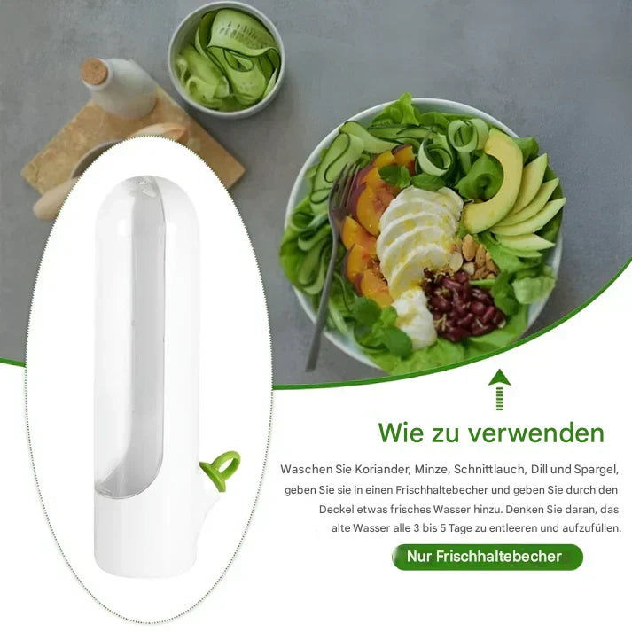 Boîte de conservation des herbes – FreshKeep