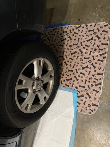 Tapis pour animaux sans fuite – Tapis de confort PetPaws