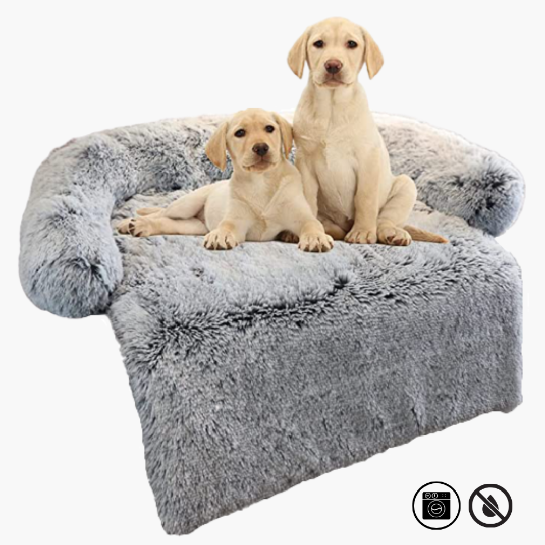 Canapé de Luxe pour Chiens - PawLounge