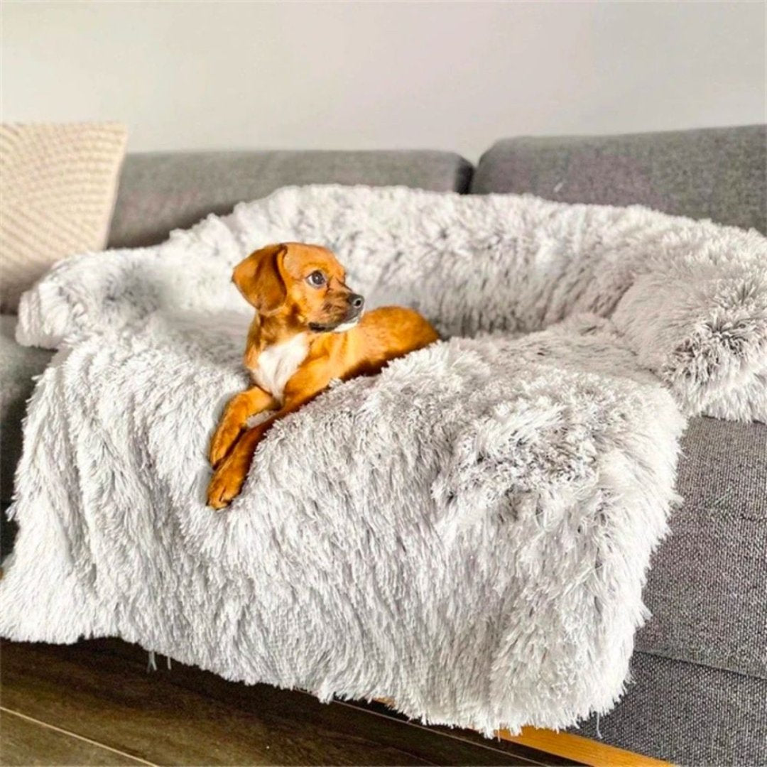Canapé de Luxe pour Chiens - PawLounge