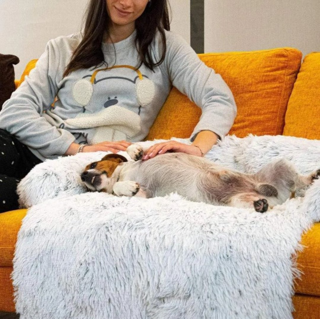 Canapé de Luxe pour Chiens - PawLounge