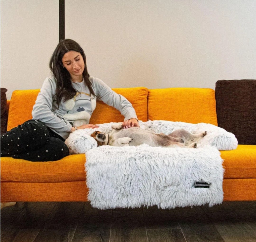 Canapé de Luxe pour Chiens - PawLounge