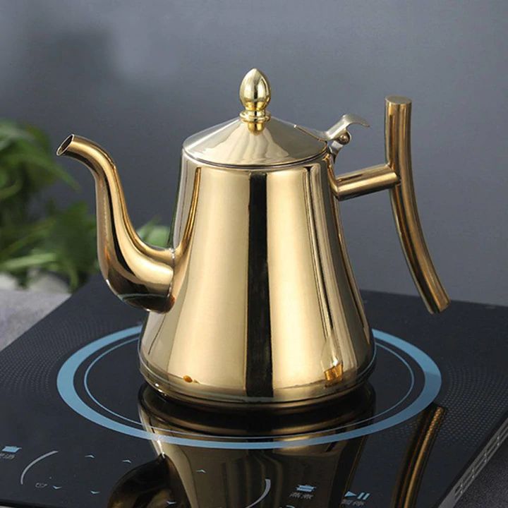 Bouilloire à induction en acier inoxydable avec filtre - AquaSteel