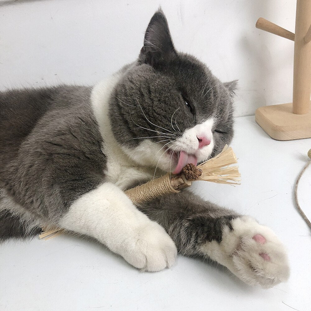 Bâtonnets à mâcher interactifs pour chats – ChewPlay