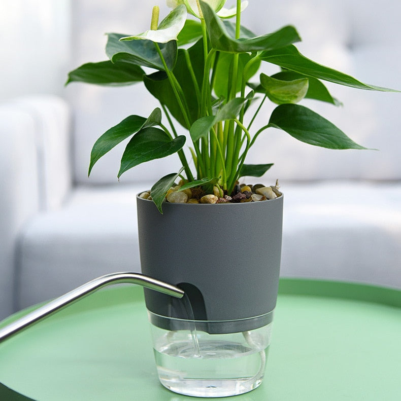 Cache-pot auto-arrosant – AquaBloom