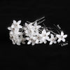 Accessoire de cheveux Trachten Gisela