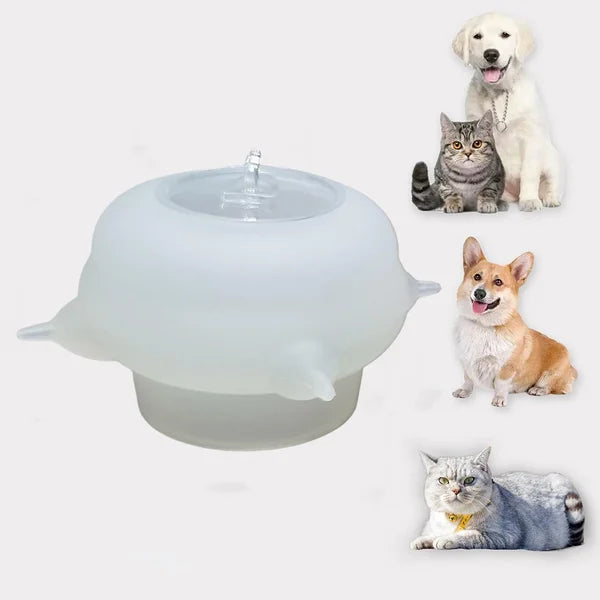 Bol à lait compact pour chatons - KittySip