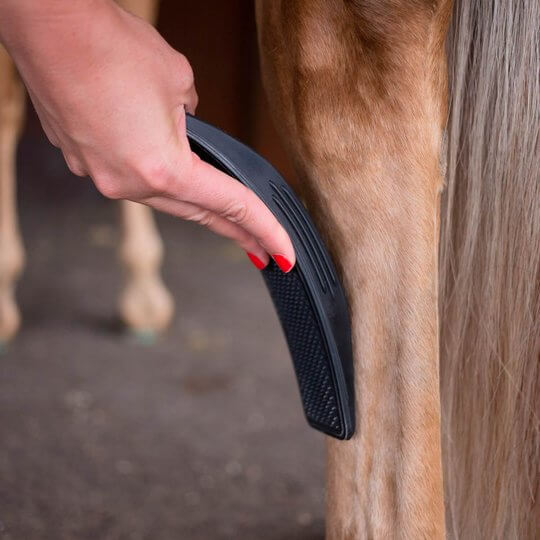 Brosse de soin pour chevaux 6-en-1 - EquiGlow