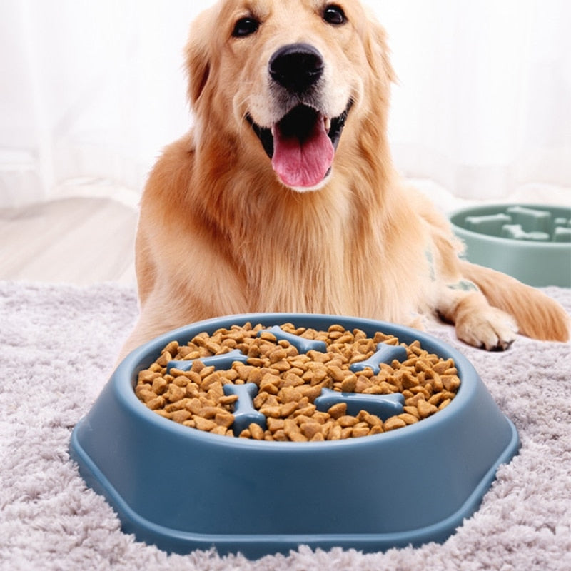 Bol Anti-Avaleur – PawMaze™