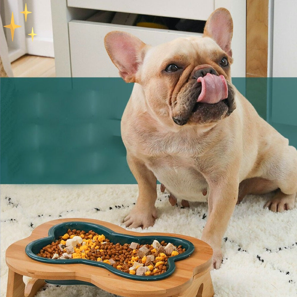 Bol en céramique pour chien avec support en bois – BoneFeast