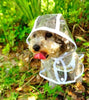 Veste de pluie transparente et imperméable pour chiens - DryPaw