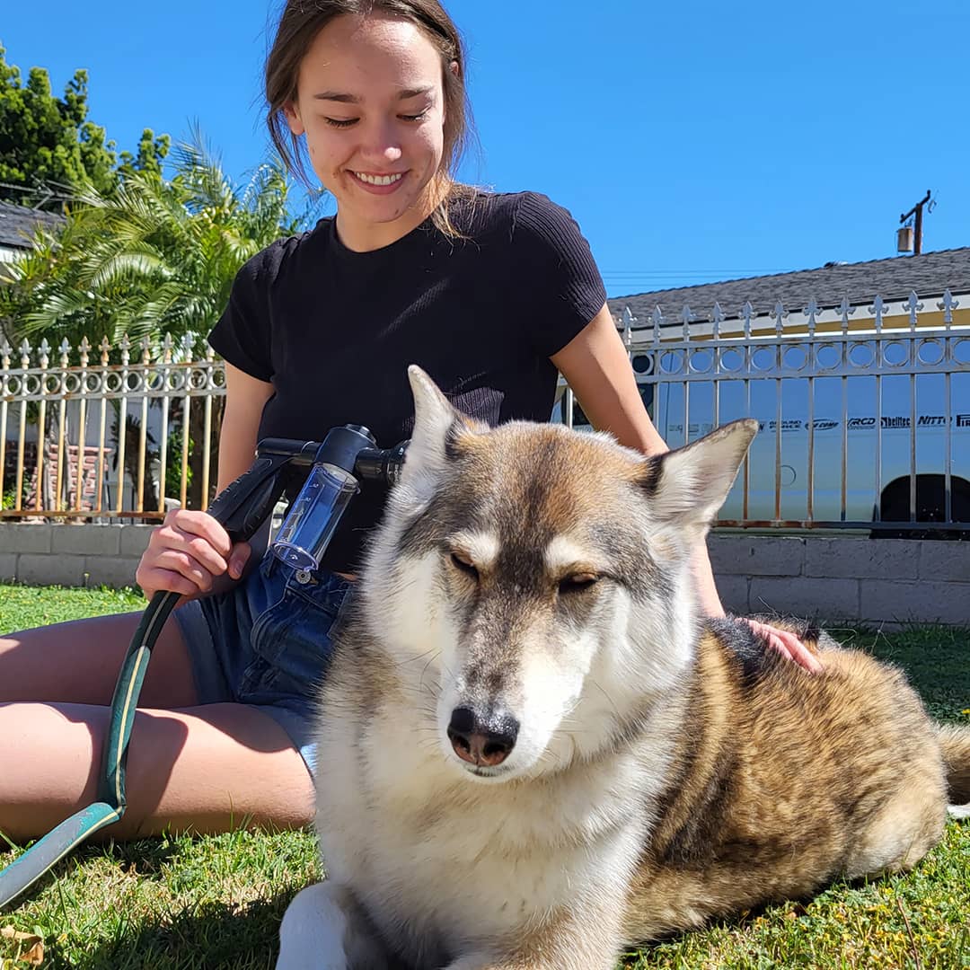 Spray de douche pour chien - WashBuddy