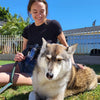 Spray de douche pour chien - WashBuddy