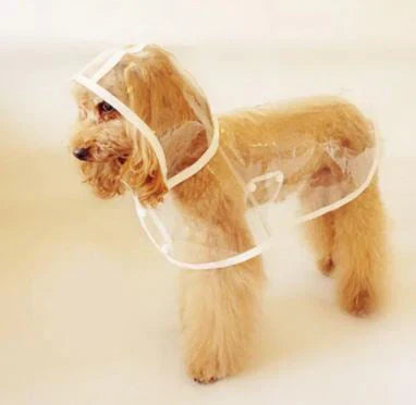 Veste de pluie transparente et imperméable pour chiens - DryPaw