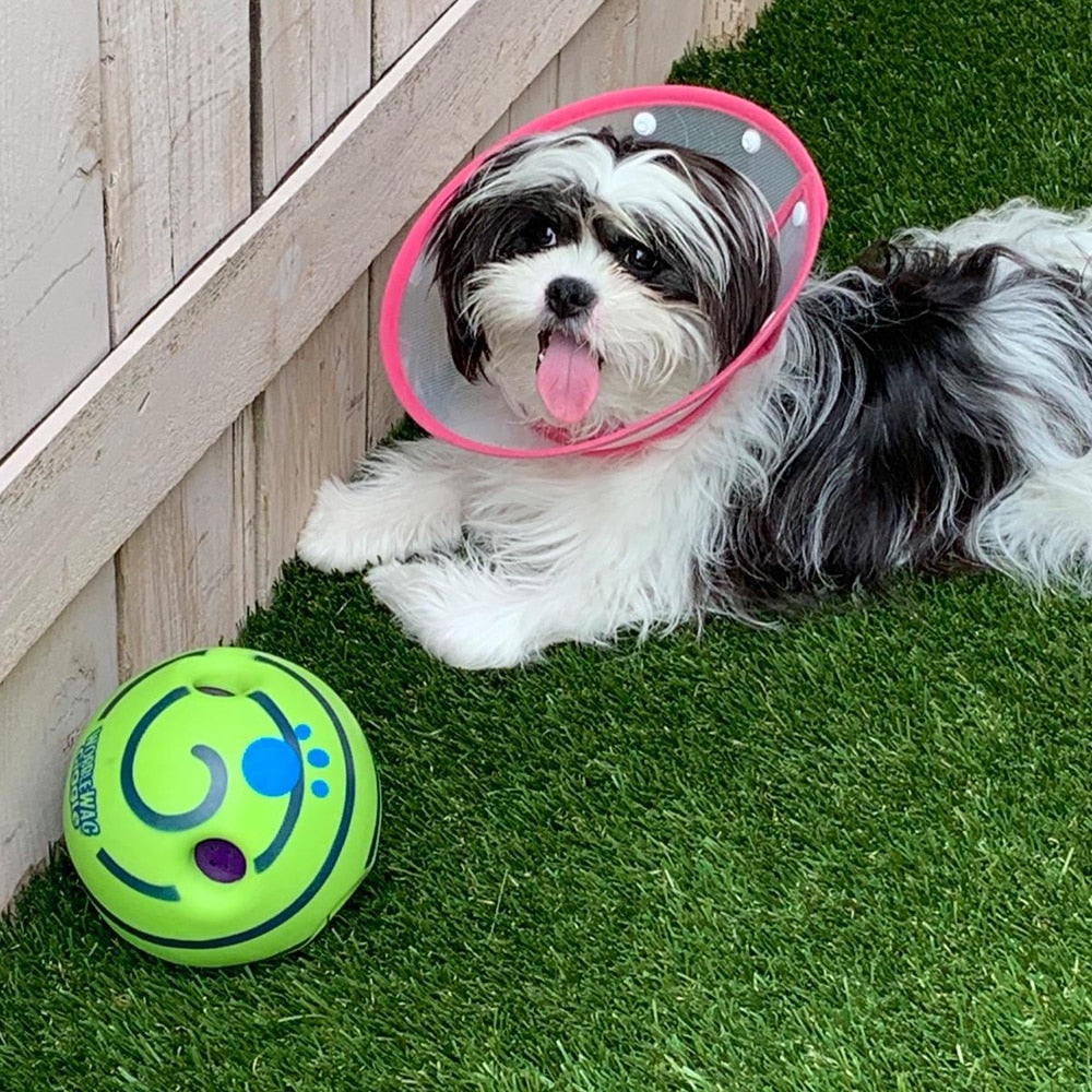 Balle de jeu interactive pour chiens - GiggleSphere