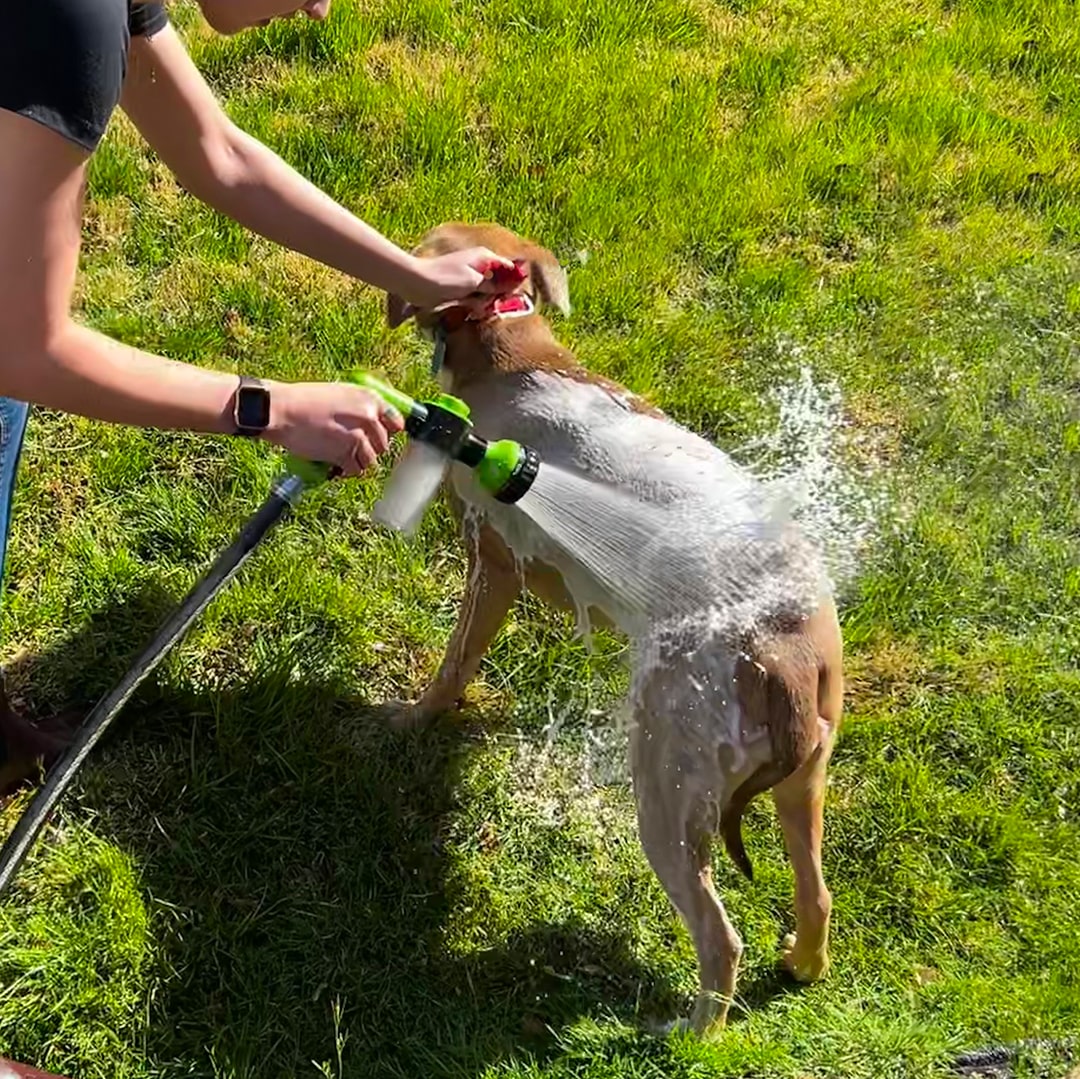 Spray de douche pour chien - WashBuddy