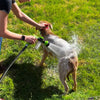 Spray de douche pour chien - WashBuddy