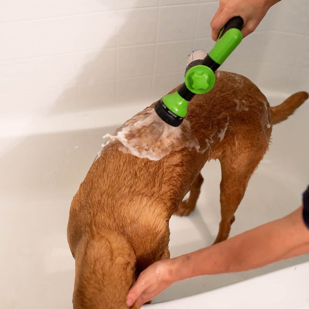 Spray de douche pour chien - WashBuddy