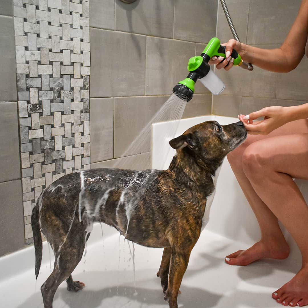 Spray de douche pour chien - WashBuddy
