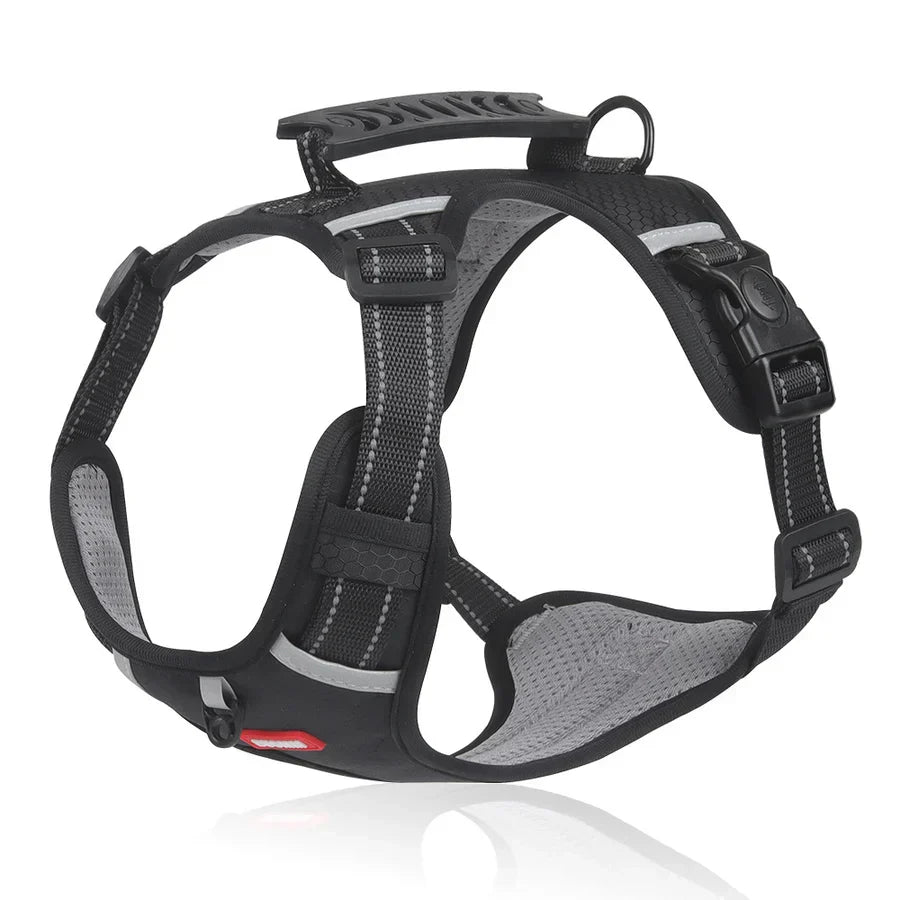 Harnais Robuste & Confortable pour Chien - ActivePup™