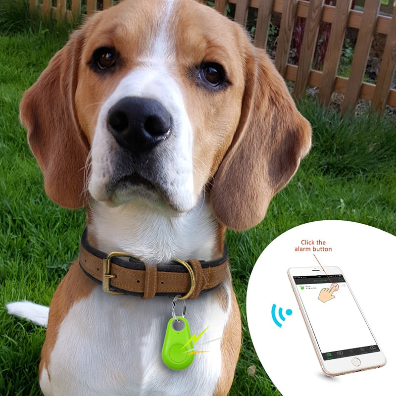 Traceur GPS pour animaux - PawFinder