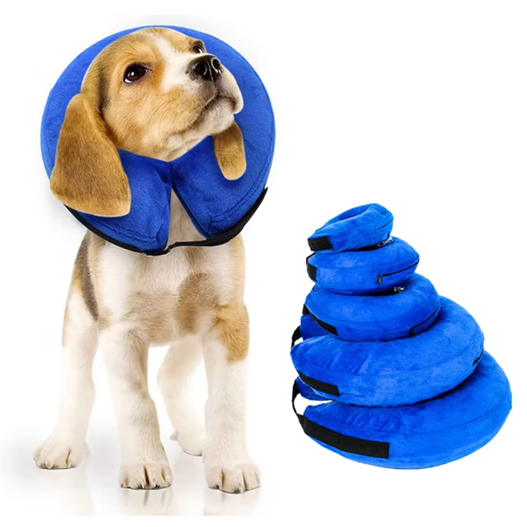 Collier de chien gonflable protecteur - Anneau de récupération doux et confortable