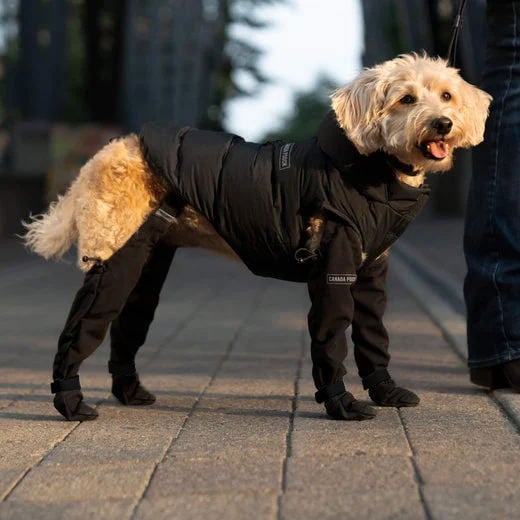 Bottes pour des aventures en plein air en toute sécurité – PawShield