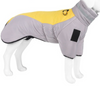 Veste pour chien imperméable - WeatherPaws