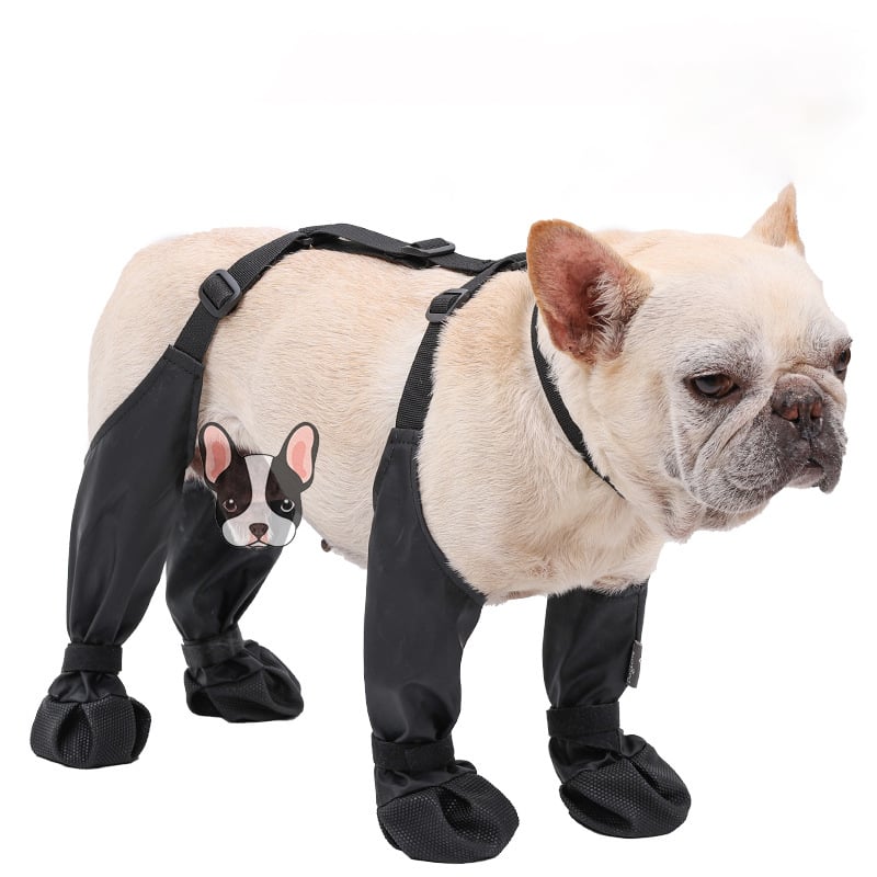 Bottes pour des aventures en plein air en toute sécurité – PawShield