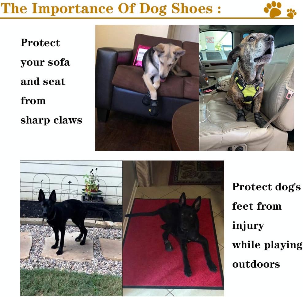 Bottes pour chiens toutes saisons pour des aventures en toute sécurité