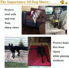 Bottes pour chiens toutes saisons pour des aventures en toute sécurité