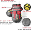 Bottes pour chiens toutes saisons pour des aventures en toute sécurité