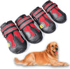 Bottes pour chiens toutes saisons pour des aventures en toute sécurité